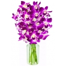 buy orchids flowers philippines