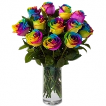 send one dozen rainbow roses in bouquet to philippines