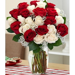 12 Red and 12 White Roses in Vase