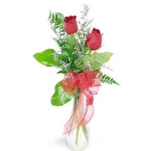 2 Red Roses with Greenery in Vase