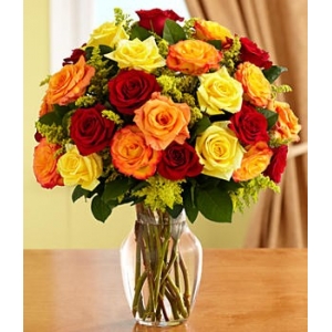 24 Multi Color Roses in Vase with Greenery