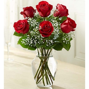 6 Premium Long Stem Red Roses