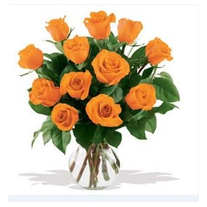 12 Orange Roses in Vase