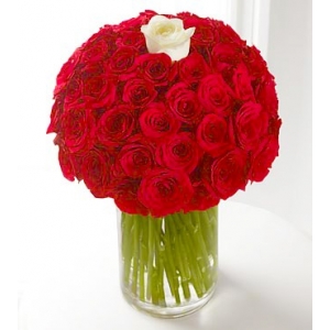 49 Red  & 1 White Roses in Vase
