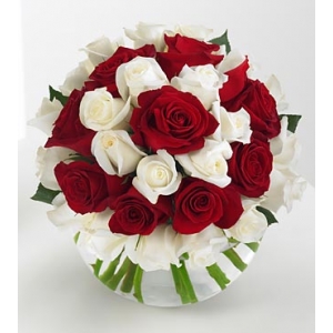 24 Red and 12 White Roses in Vase