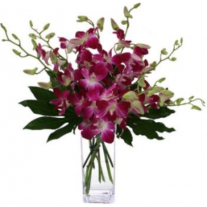 8pcs. Pink Orchids with Free Vase