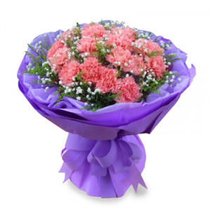 24 Pink Carnations in Bouquet