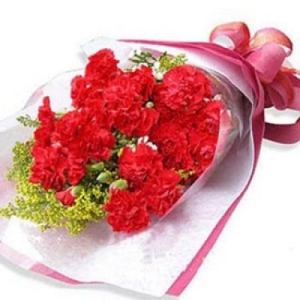 24 Red Carnations Hand Bouquet to Philippines