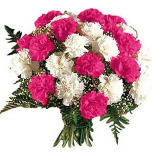 24 White and Pink Carnation Hand Bouquet