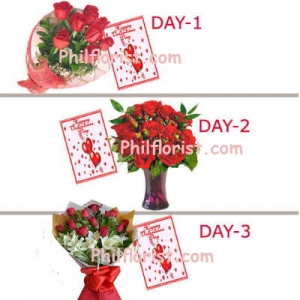3- days combo package send to philippines