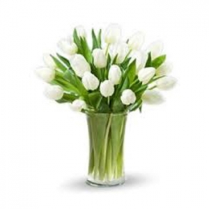 12 White Tulips with Free Vase