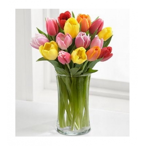 12 Colorful Mix Tulip with Free Vase