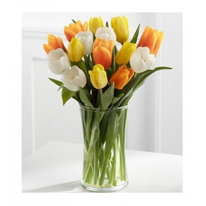 12 Harmony Mix Tulip with Free Vase