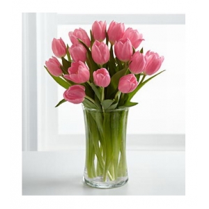 12 Pink Tulip with Free Vase