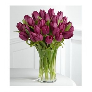 12 Purple Tulips with Free Vase