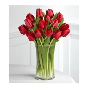 12 Red Tulip with Free Vase