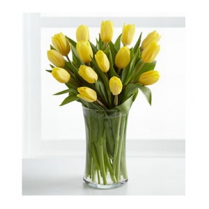 12 yellow tulips with free vase send to philippines