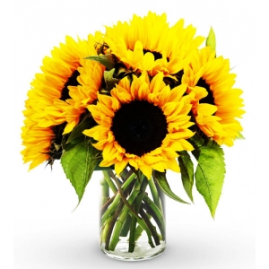 online 6 pieces seasonal sunflower vase to philippines