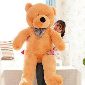 5 Feet Light Brown Color Teddy in Philippines