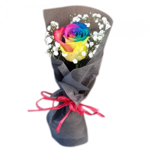 send beautiful one piece rainbow roses to philippines