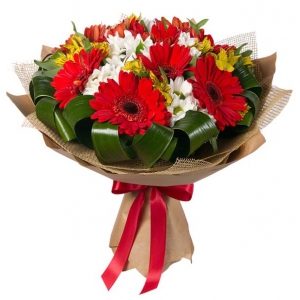 12 Red Gerberas with Seasonal Blooms