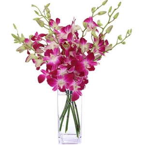 6 Pink Orchids with Free Vase Send to Philippines