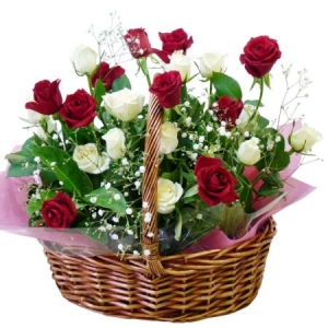 send white and red rose to philippines