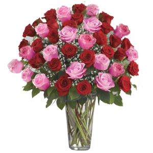 36 Mixed Color Roses in Vase