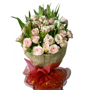 24 light Pink Roses Bouquet