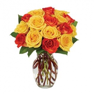 18 Oranga & Yellow Roses in Vase