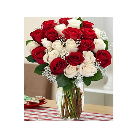 12 Red and 12 White Roses in Vase