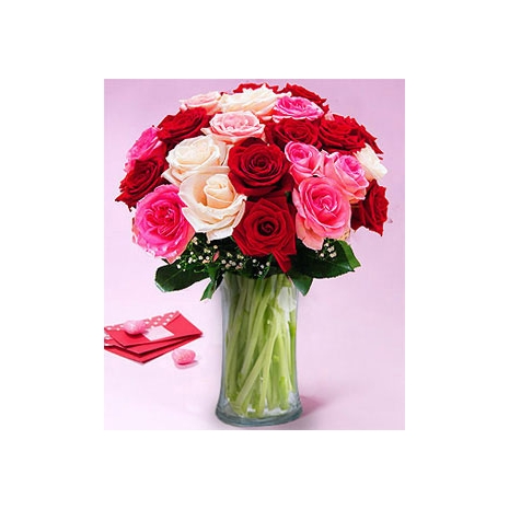 24 Red,Pink and White Roses in Vase
