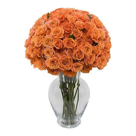 50 Oranga Roses in Vase