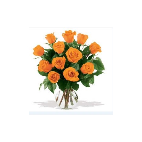 12 Orange Roses in Vase