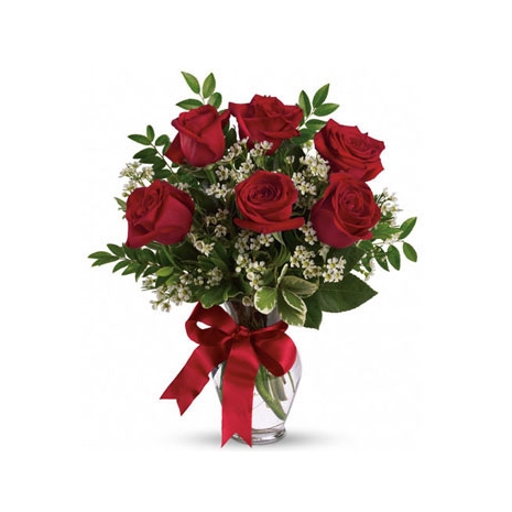 6 Red Roses in Vase