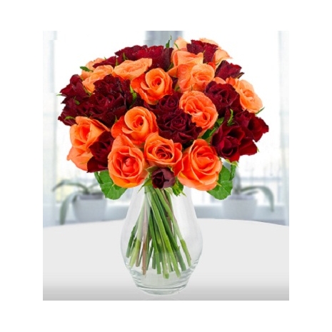 36 Orange & Red Roses in Vase