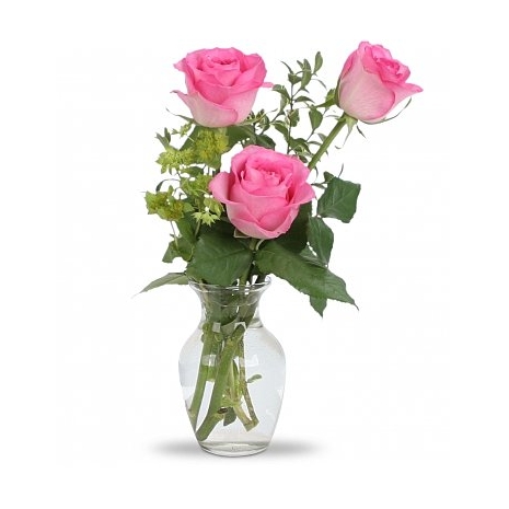 3 Pink Roses in Vase