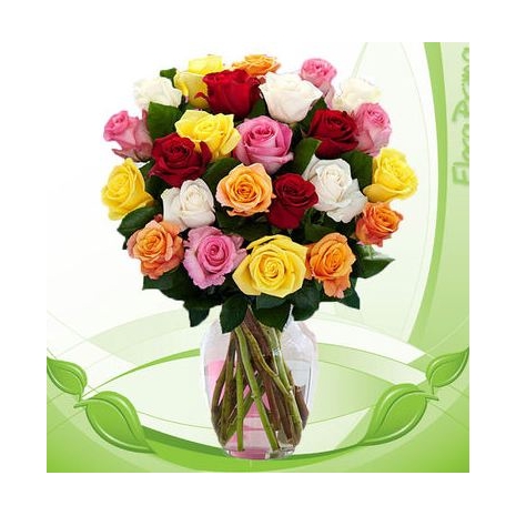 24 Mixed Color Roses in Vase