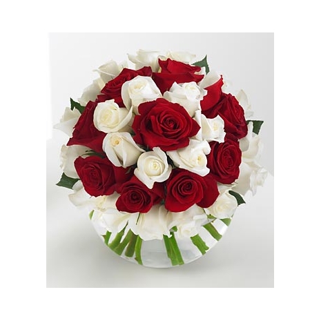 24 Red and 12 White Roses in Vase