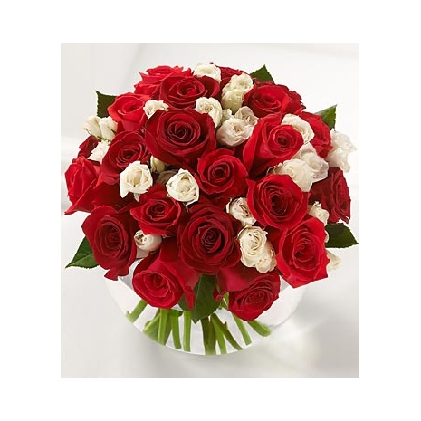 18 Red and 18 White Roses in Vase