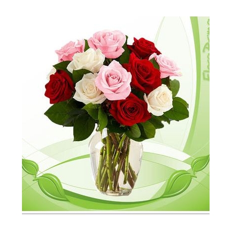 12 Red,White and Purple Roses in Vase