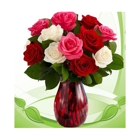 12 Red,White and Pink Roses in Vase