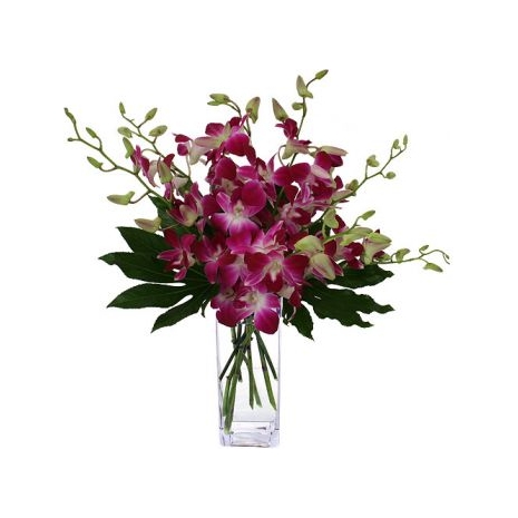 8pcs. Pink Orchids with Free Vase