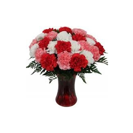 24 Mixed Carnations with Free Vase