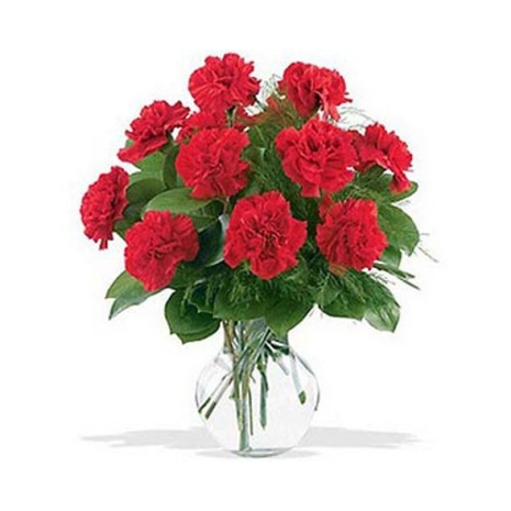 12 Red Carnations with Free Vase