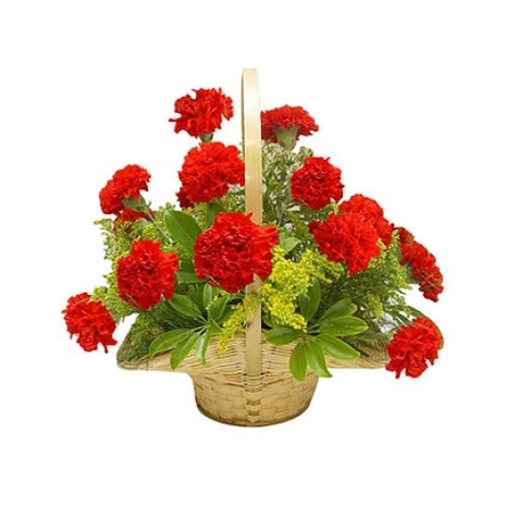 12 Red Carnations in Basket