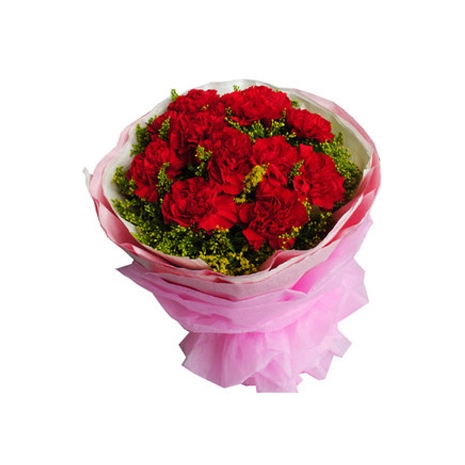 ​12 Red Carnations with Green leaves