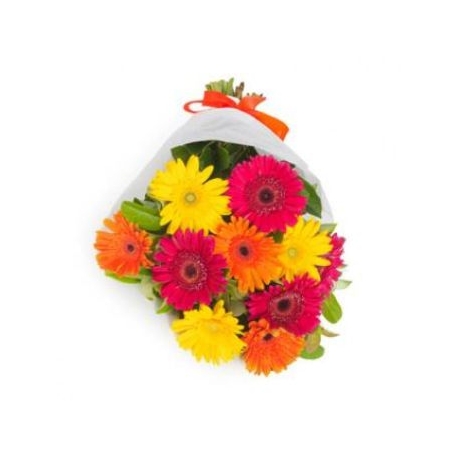 12 Mixed Color Gerberas in a Bouquet