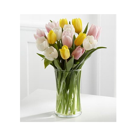 12 Beauty Mix Tulips with Free Vase