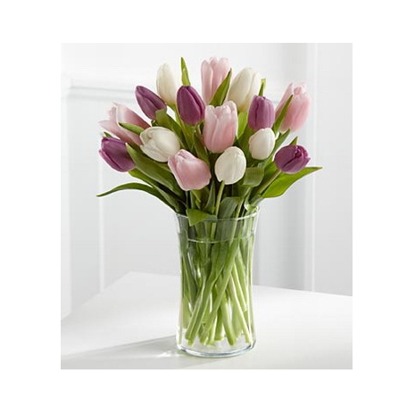 12 Graceful Mix Tulip with Free Vase